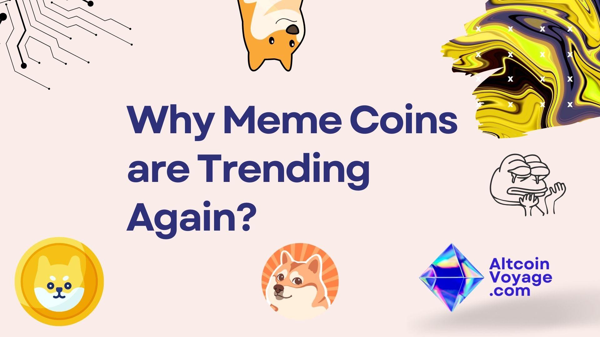 Why Meme Coins are Trending Again?