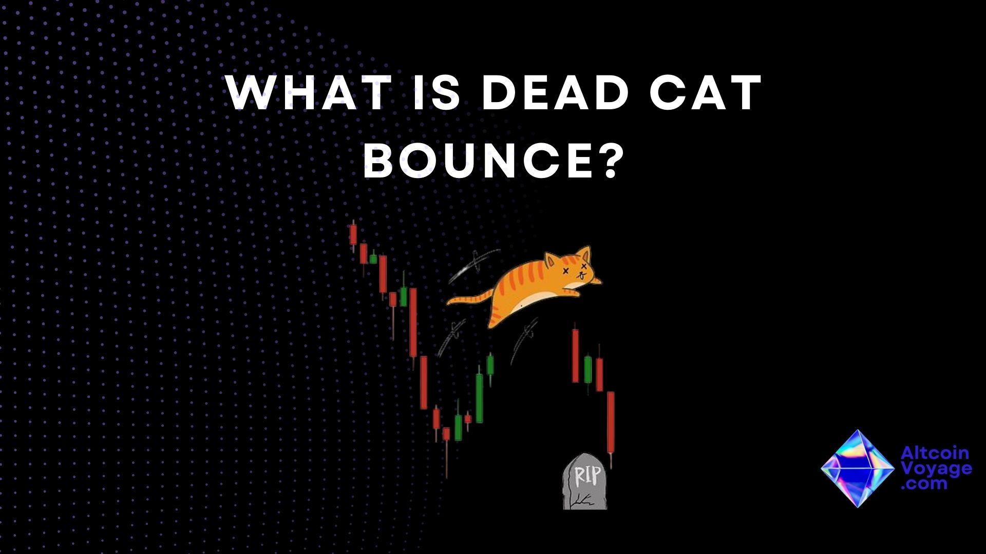 What is Dead Cat Bounce